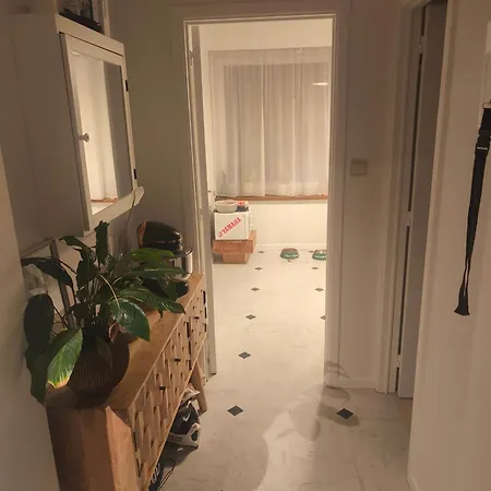 Dans Un Proche Du Centre