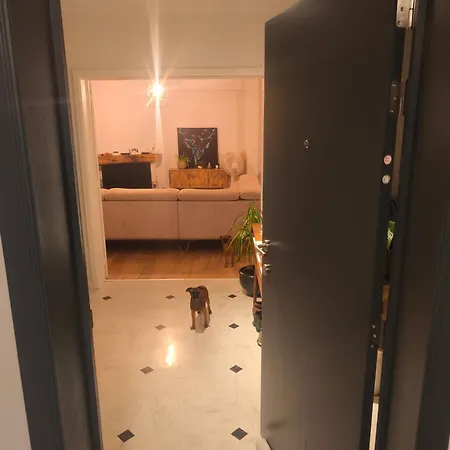 Dans Un Proche Du Centre Namur