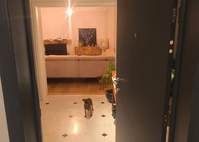 Dans Un Proche Du Centre Namur